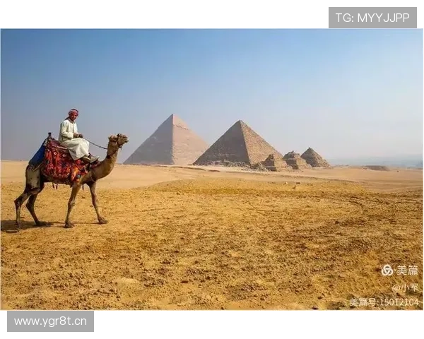 企业家摄影协会：跨界合作与创新精神的影像探索之旅